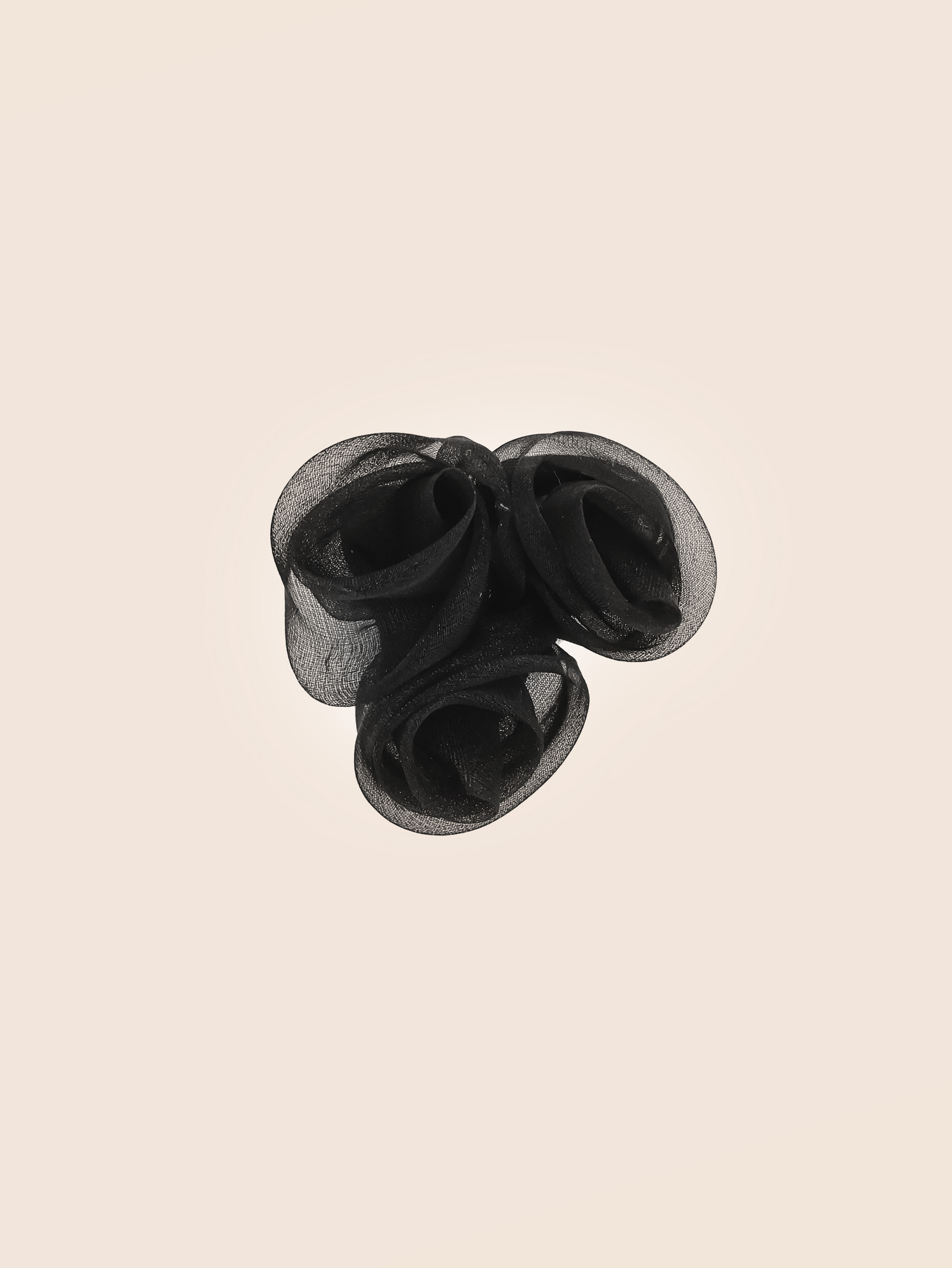 Organza Roses Black